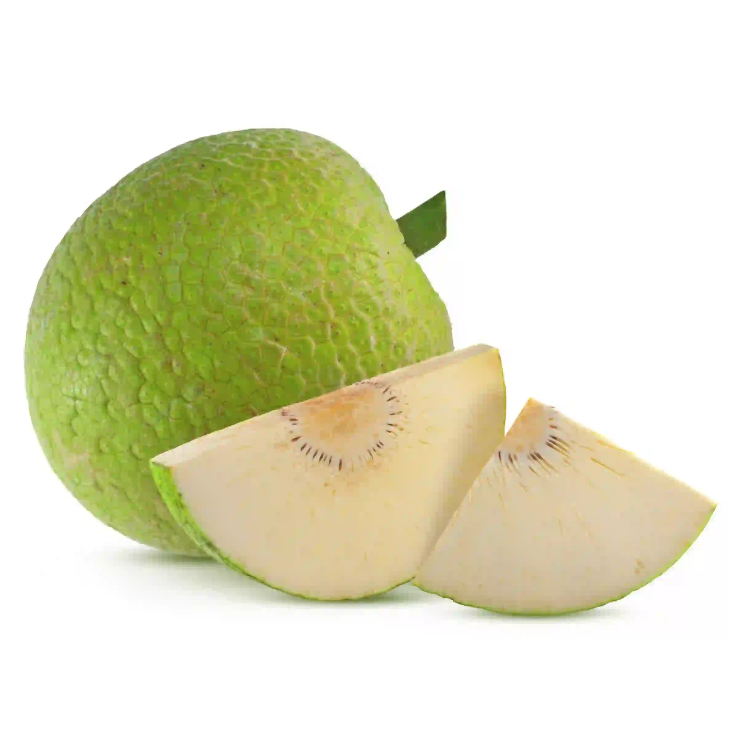 Breadfruit Fruit