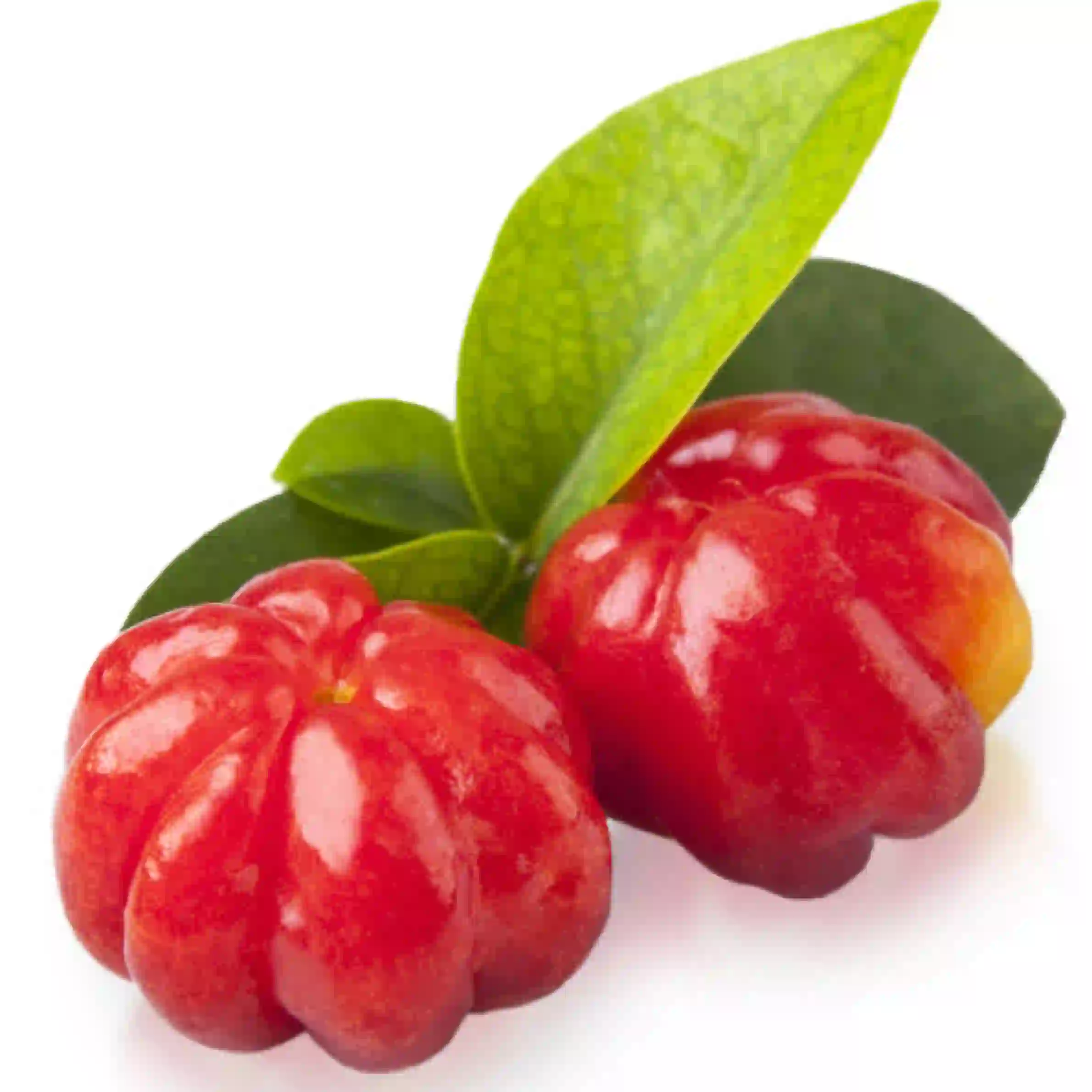 suriname cherry fruit